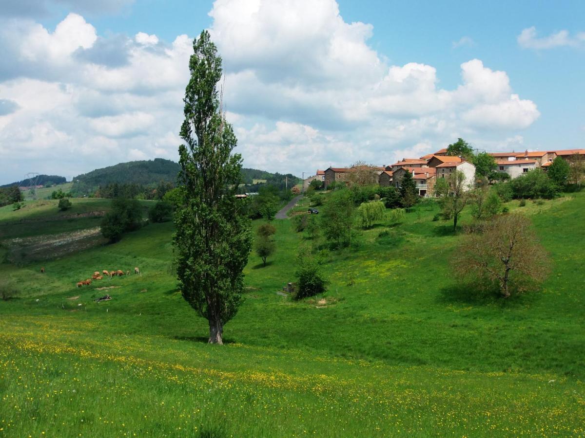 Le Vallon D'Armandine, Gite Ecologique Auvergne Saint-Hilaire (Haute-Loire) Exterior foto